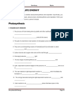 Ecosystem: Life Energy: Photosynthesis