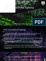 Additional Lighting Ornamental Plants