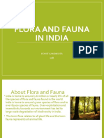 Flora and Fauna in India (Social Art Integration)