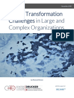 Digital Transformation Challenges in Large and Complex Organizations