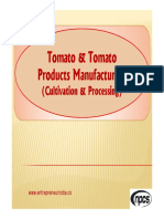 Tomato Tomato Products Manufacturing