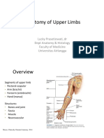 Upper Limb