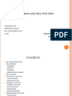 Cell-Cell Adhesion and Cell Junction: Submitted by Ashish Palodkar Msc. Biotechnology 1 Sem