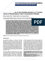 Multivariate Analysis of Tea (Camellia Sinensis (L.) O. Kuntze) Clones On Morphological Traits in Southwestern Ethiopia