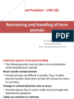 Lecture 8. Restraining of Farm Animals