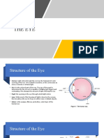 HSB Form 5 The Eye