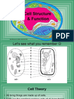 Grade 10 Cell - Structure - Function