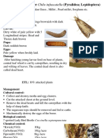 Week Lecture Sugarcane Pest