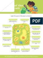 Label The Parts of The Plant Cell Below