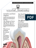 Dental Anatomy - Lecture 3