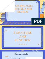 Assessing Male Genitalia and Inguinal