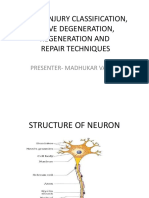 Nerve Injury Classification, Nerve Degeneration, Regeneration and Repair Techniques