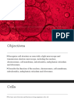 Year 10 Edexcel IGCSE Human Biology Cells Unit 1 Notes