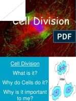 Day 2 and 3 - MITOSIS and MEIOSIS