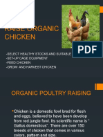 Raise Organic Chicken