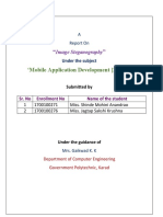 MAD MP (Image Steganography)