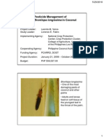 Pesticide Management of Brontispa Longissima in Coconut