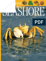 DK Eyewitness - Seashore