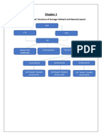 Title: Organizational Structure of Sumago Infotech and General Layout