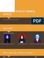 Introduction To Animal Health