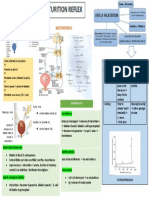 Reflex Facilitation: Vol Control of Micturition (Corticol Areas) Control EUS & Abd M