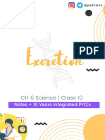 Padhle 10th - Excretion (Life Processes) Notes + Integrated PYQs