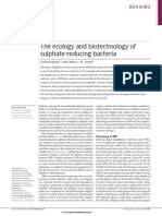 The Ecology and Biotechnology of Sulphate-Reducing Bacteria: Gerard Muyzer and Alfons J. M. Stams