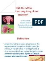 Adnexal Mass A Condition Requiring Closer Attention