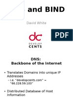 Material de DNS e Bind 