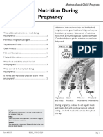 Nutrition During Pregnancy