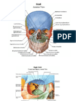 Atlas of Human Anatomy - Netter (2006) 07th Edition