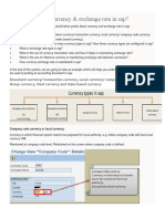 Different Currency Type in SAP