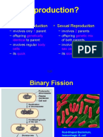 Asexual and Sexual Reproduction 2016