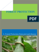 Forest Protection