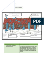 Gen Bio Module 7