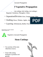 6) Types of Vegetative Propagation