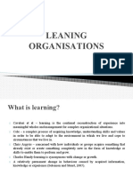 Learning Organisation