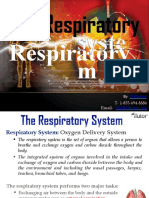 Therespiratorysystem Grade 9