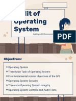 Audit of Operating System Networks