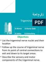 Trigeminal Nerve: D.Nimer D.Rania Gabr D.Safaa D.Elsherbiny