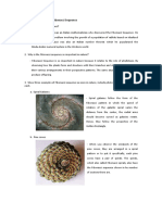 Performance Task 2.2 - Fibonacci Sequence