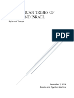 The African Tribes of Egypt and Israel Final