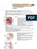 ASSESSING MOUTH, THROAT, NOSE and SINUSES