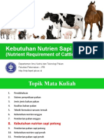 08 Nutrien Sapi Potong