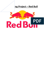 Marketing Project - Red Bull