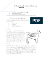 Nutrition of Canines