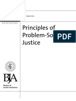 WOLF Principles of Problem-Solving Justice