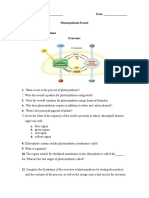 Photosynthesis Worksheet