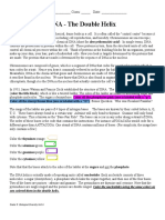 Biodiversity - DNA - The Double Helix