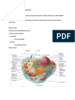 The Cellular Level of Organization - Anaphy